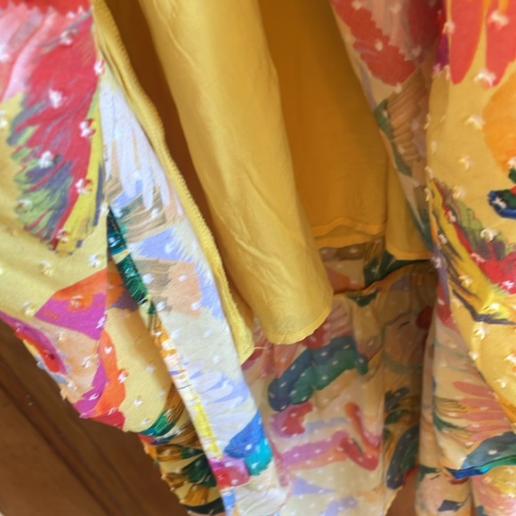 Colorful farm rio dress - Picture 6 of 6